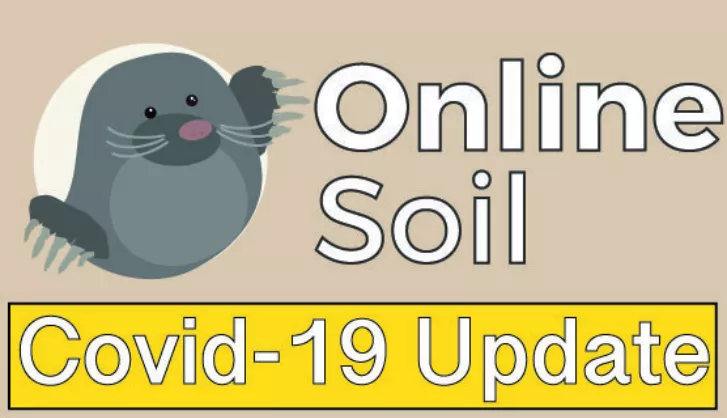 Covid update
