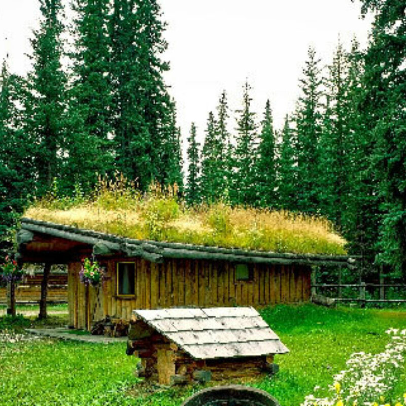 Importance Of Front Gardens