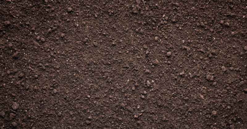 What Is Compost