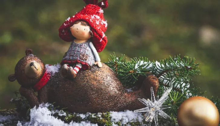 Compost 50l quarter pallet