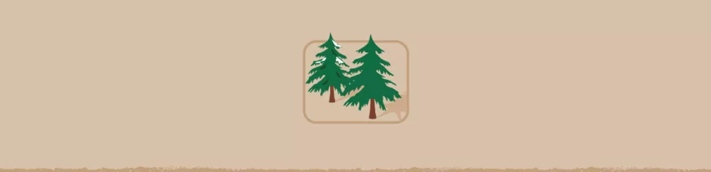 Create a Garden Habitat with an Old Christmas Tree